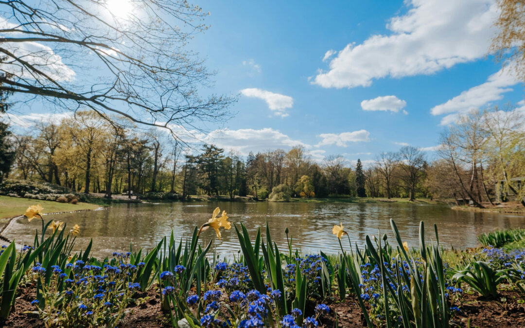 Masters Speak: Sacred EASTER Blessings on GOOD FRIDAY